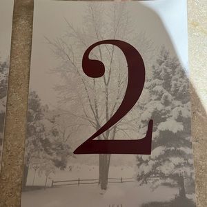 Winter decoration table numbers 1-20